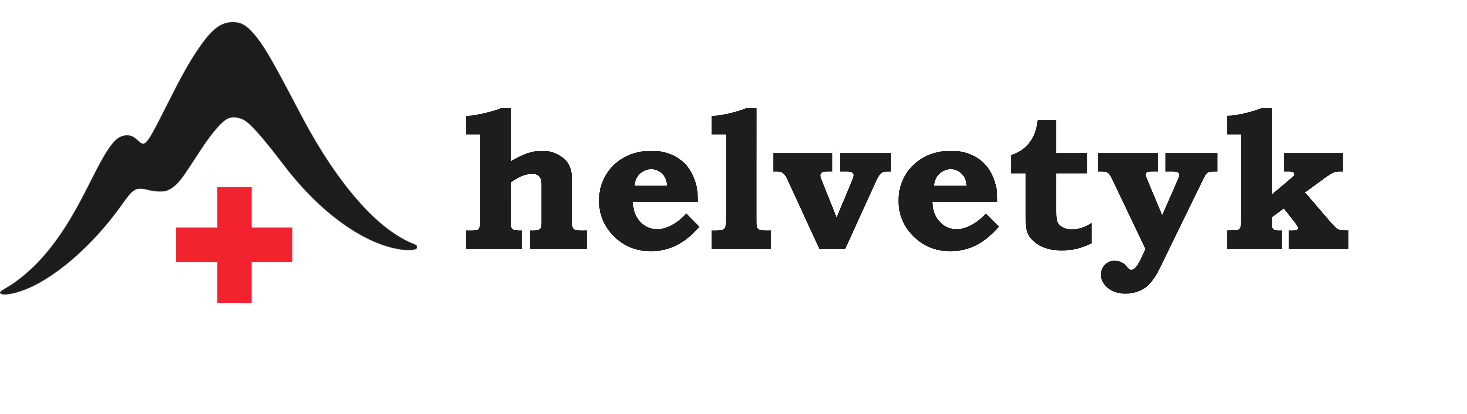 helvetyk logo